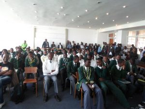 the audience
