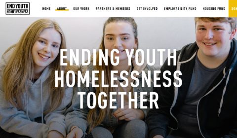 End Youth Homelessness page