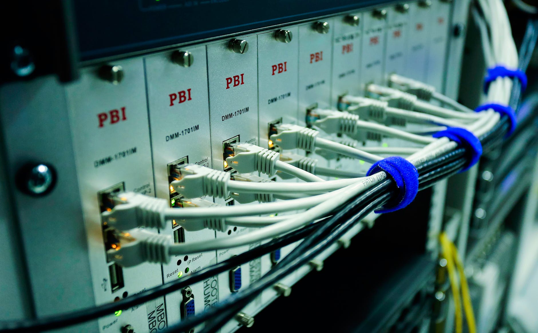 close up photo of ethernet cables on network switch